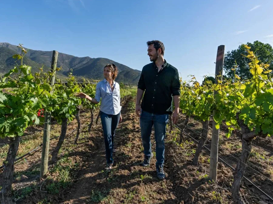Cachapoal: The Awakening of the Silent Giant