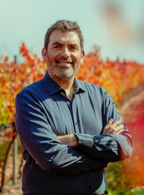 Carmenere: The Identity of Chile That Learned How to Wait
