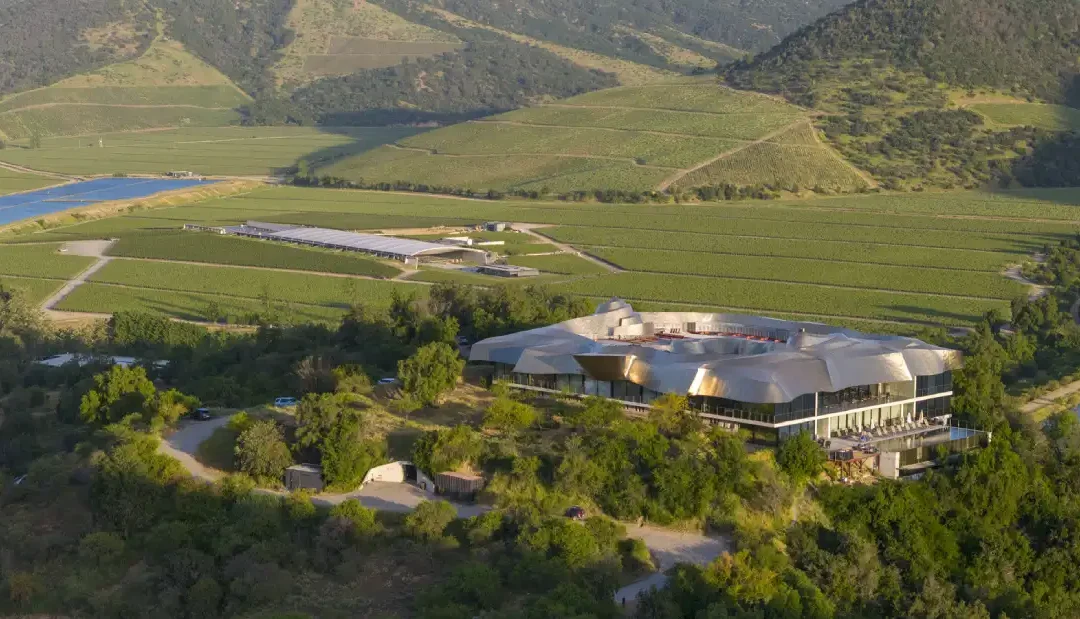 The Golden Pulse of Cachapoal: A Journey Through Millahue’s Extreme Terroir