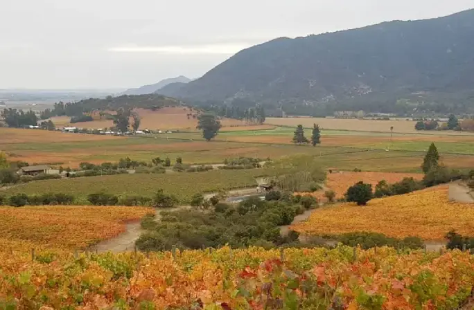 almahue valley