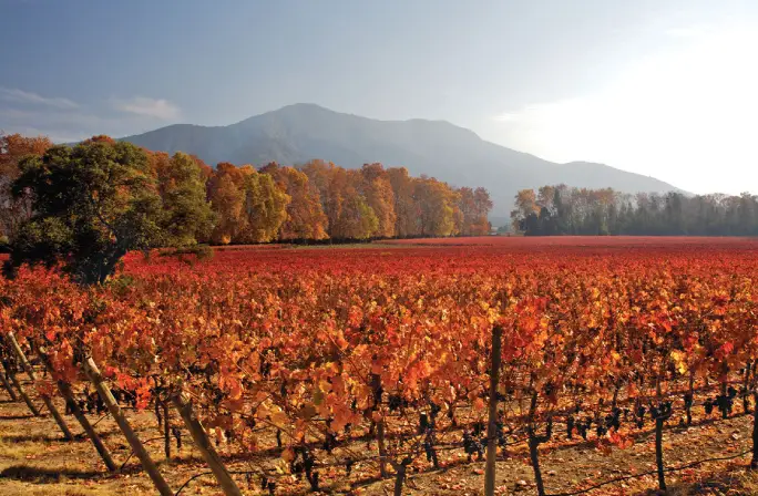 cachapoal andes
